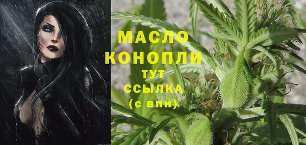 ешки Арсеньев