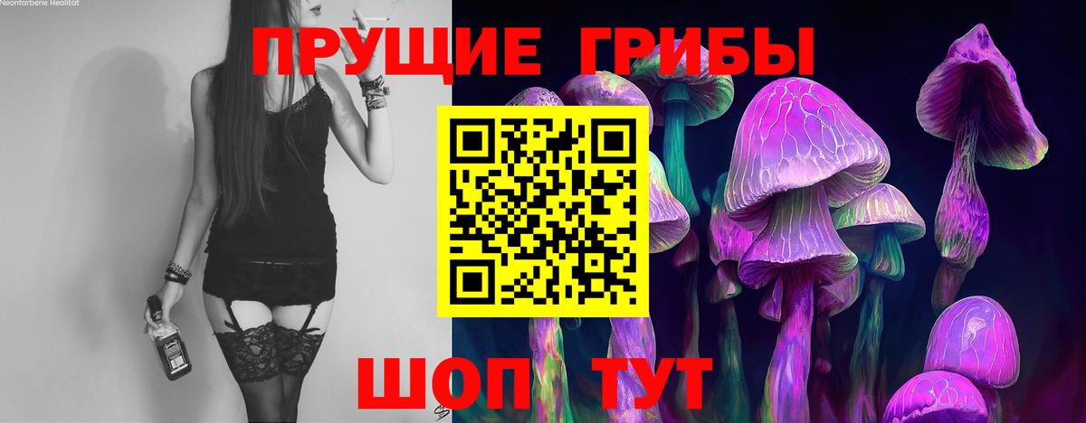 Соль-Илецк  Псилоцибиновые грибы мицелий  Вход с VPN 